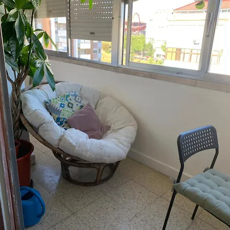 - Benfica, Estadio Da Luz *